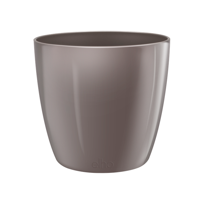 brussels diamond rond 22cm oyster pearl